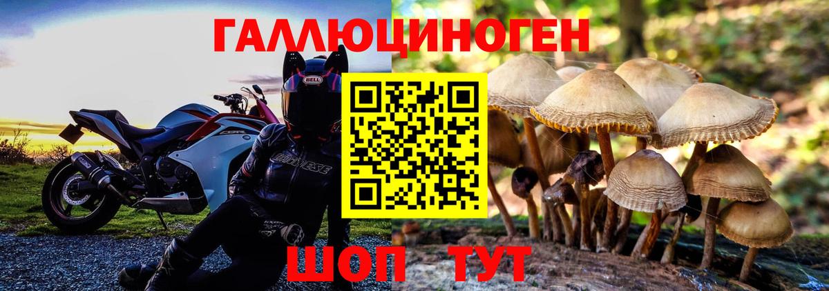 Псилоцибиновые грибы Cubensis  Вход с VPN  Сорочинск  Псилоцибиновые грибы мицелий 